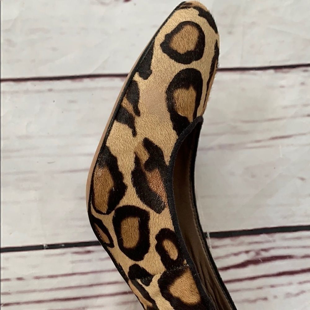 Sam Edelman leopard heels - Picture 10 of 11